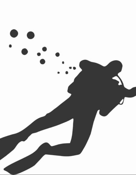 Scuba Diving Decal NZ Made    #005#