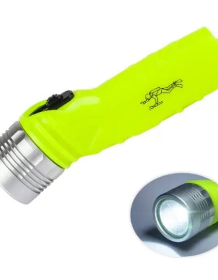 Ecomomy Dive Light