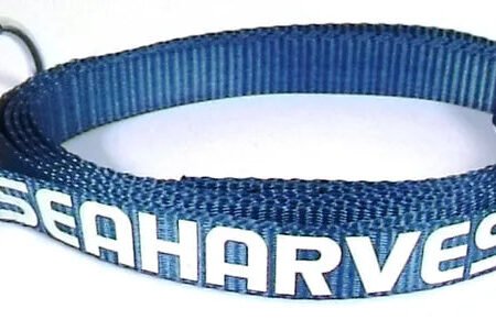 Rod  Safety Strap x1