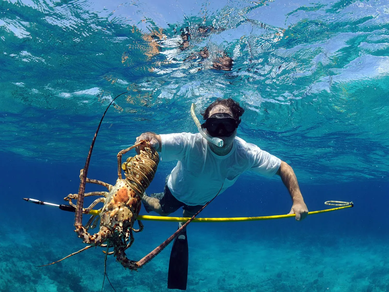SpearFishing